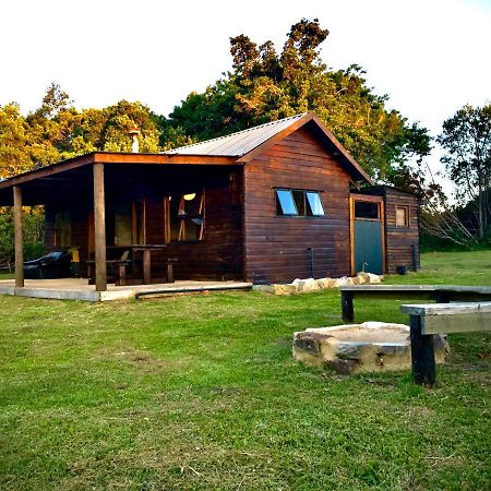 Pura Vida Forest Cabin Witelsbos Bagian luar foto