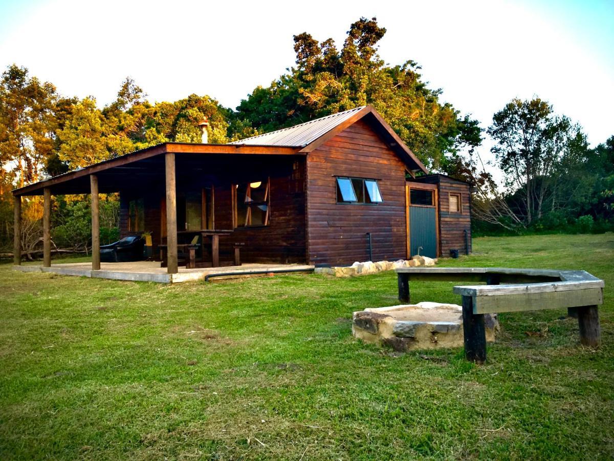 Pura Vida Forest Cabin Witelsbos Bagian luar foto